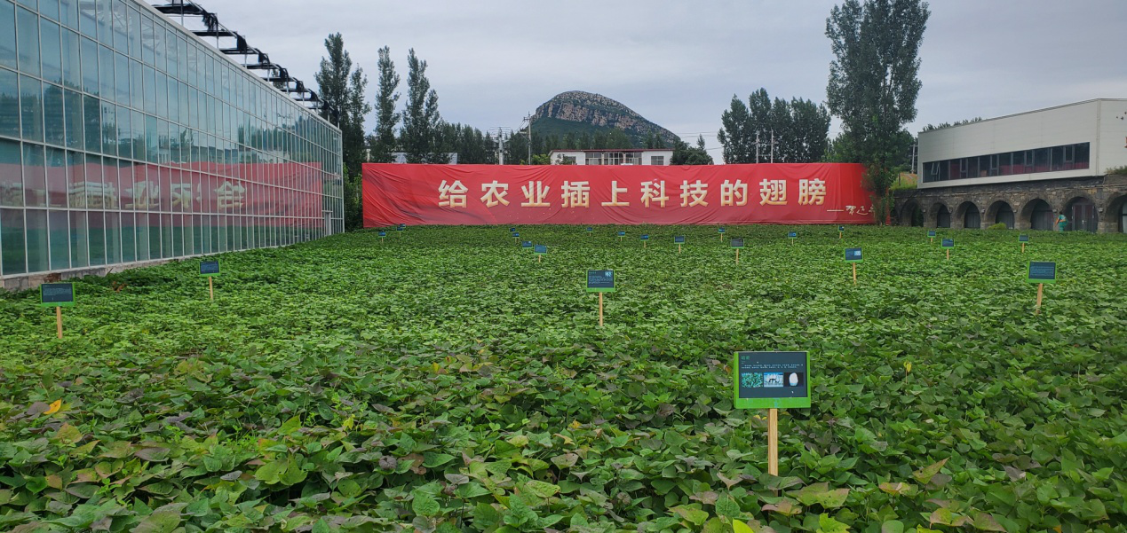 5 鄉(xiāng)村振興齊魯樣板“尼山鹿鳴”示范區(qū)實(shí)景圖.png